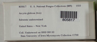 Image Associated With the Occurence